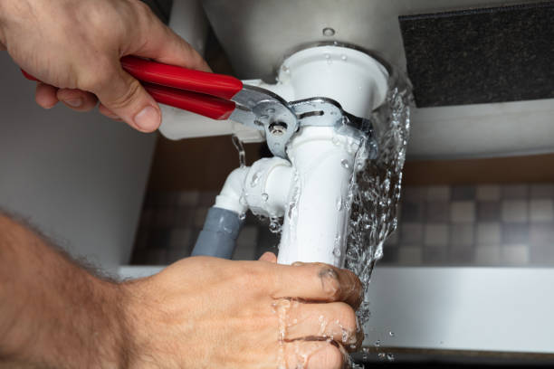 Best Water damage contractors near me  in Addison, IL