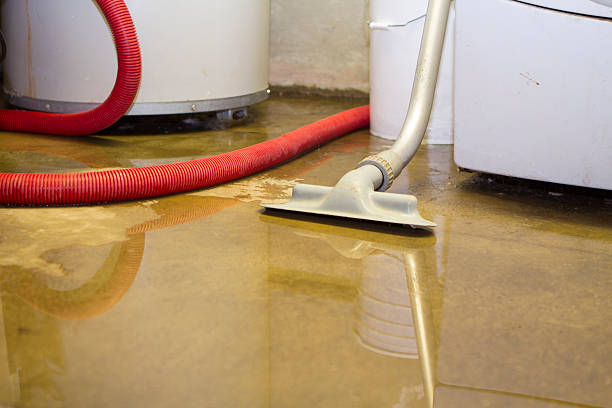Best Flooded house restoration  in Addison, IL