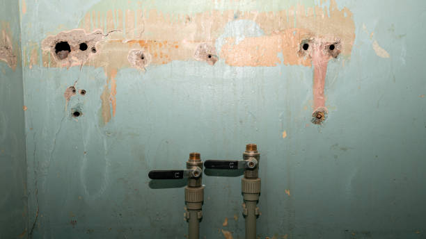 Best Water damage cleanup near me  in Addison, IL