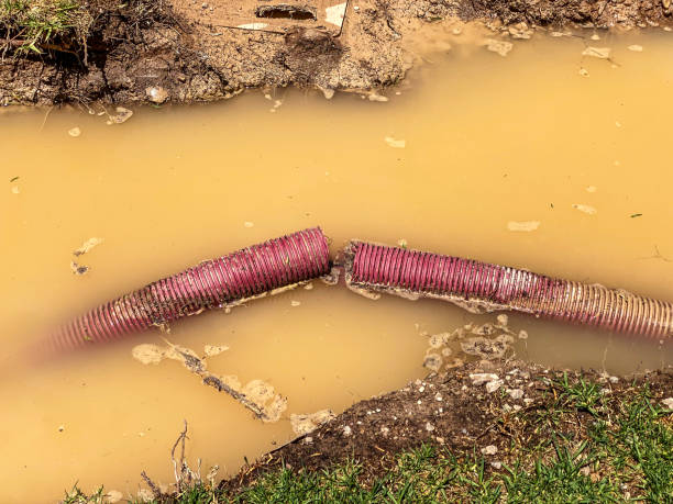 Best Water damage restoration near me  in Addison, IL